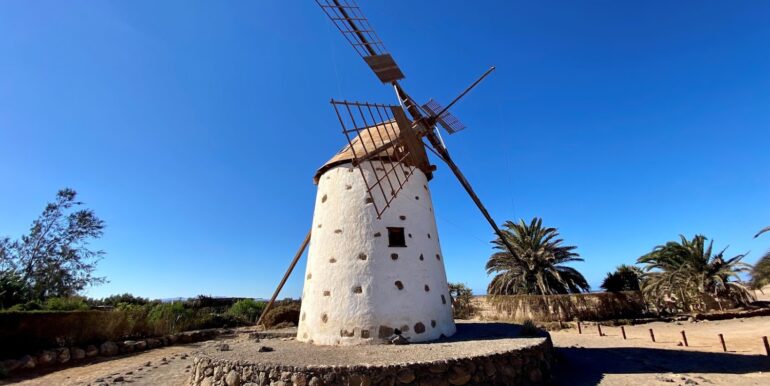el roque